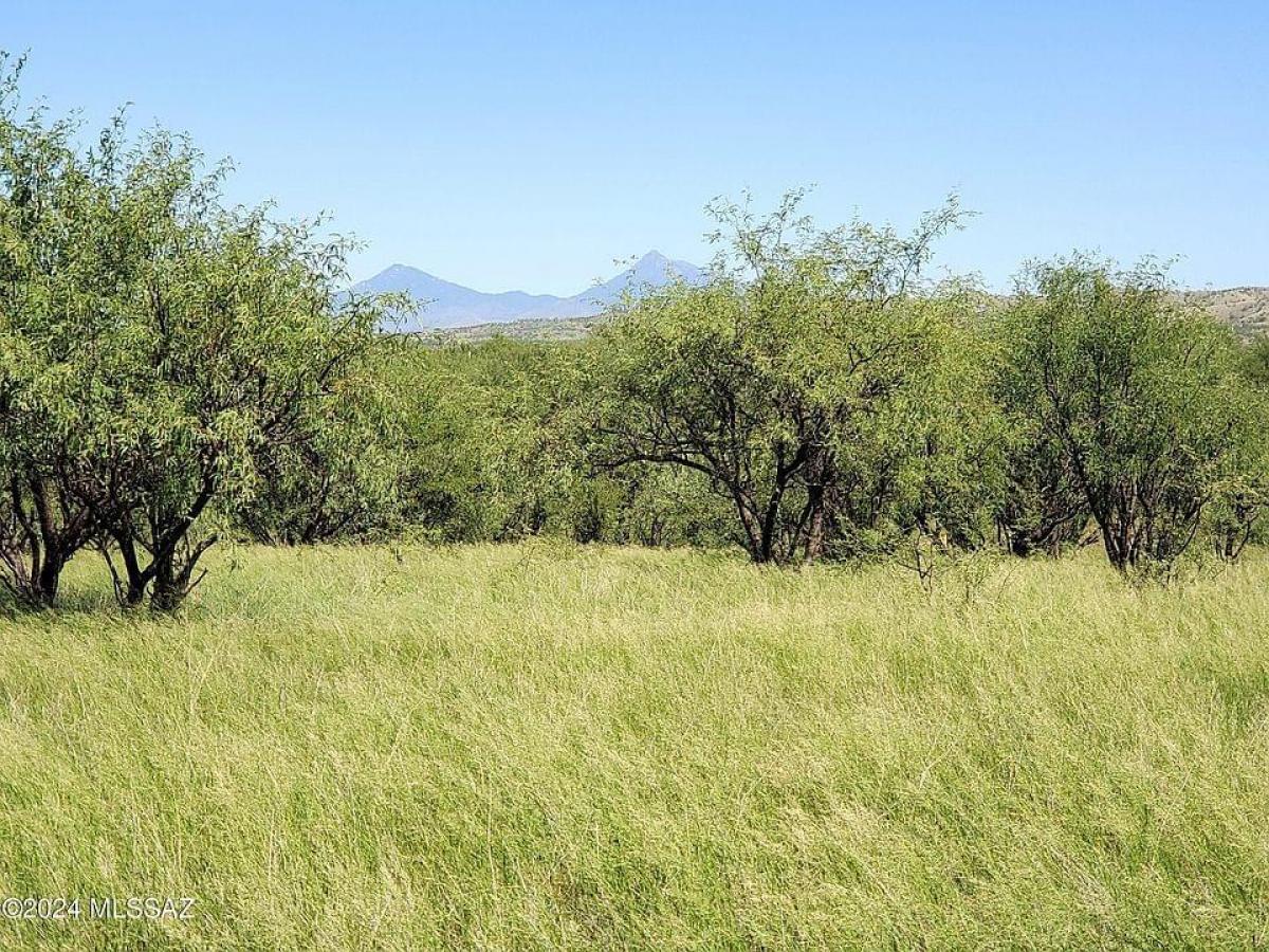 Picture of Residential Land For Sale in Nogales, Arizona, United States