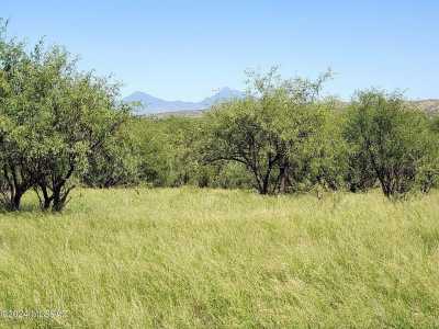 Residential Land For Sale in Nogales, Arizona