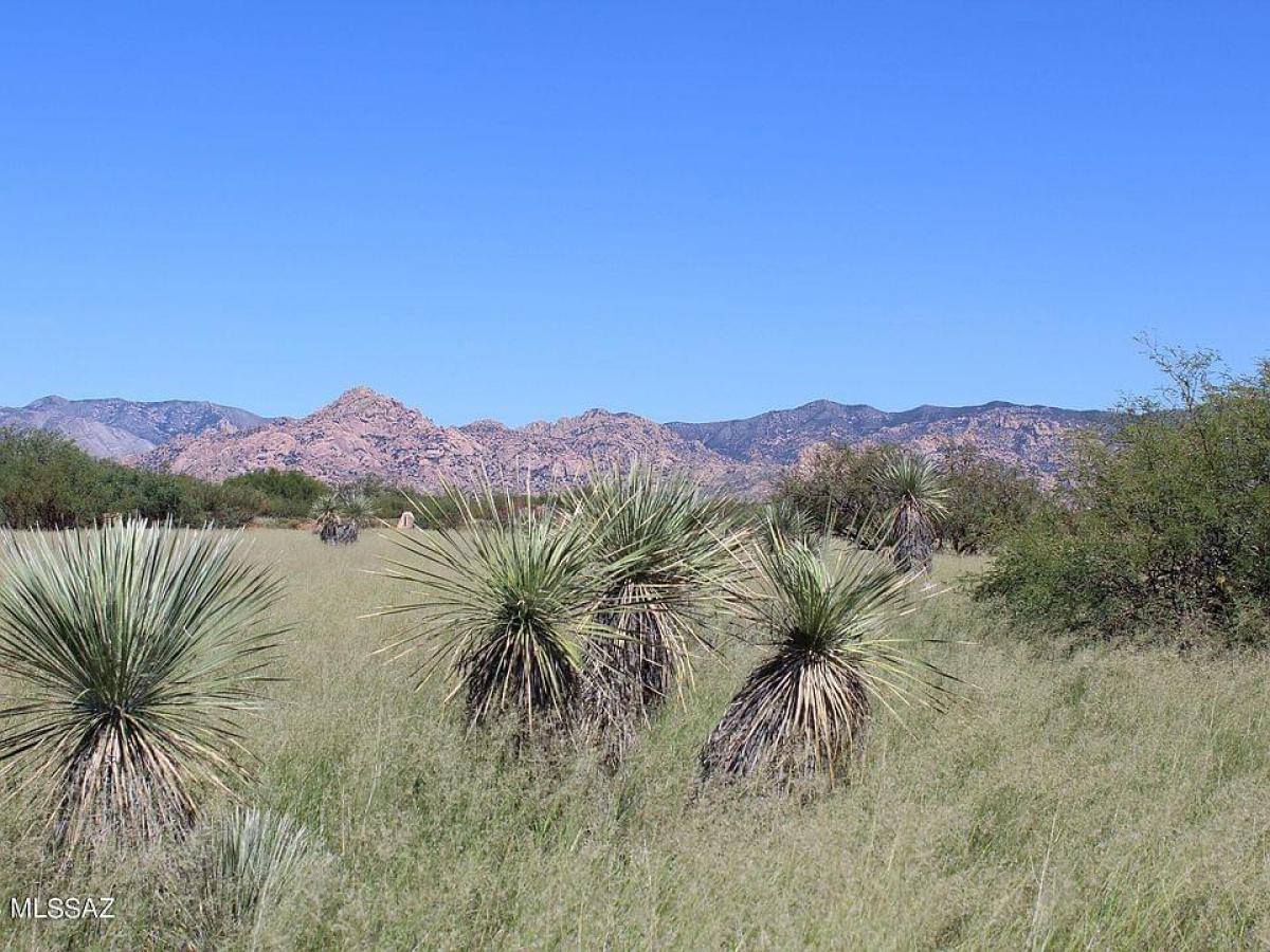 Picture of Residential Land For Sale in Saint David, Arizona, United States