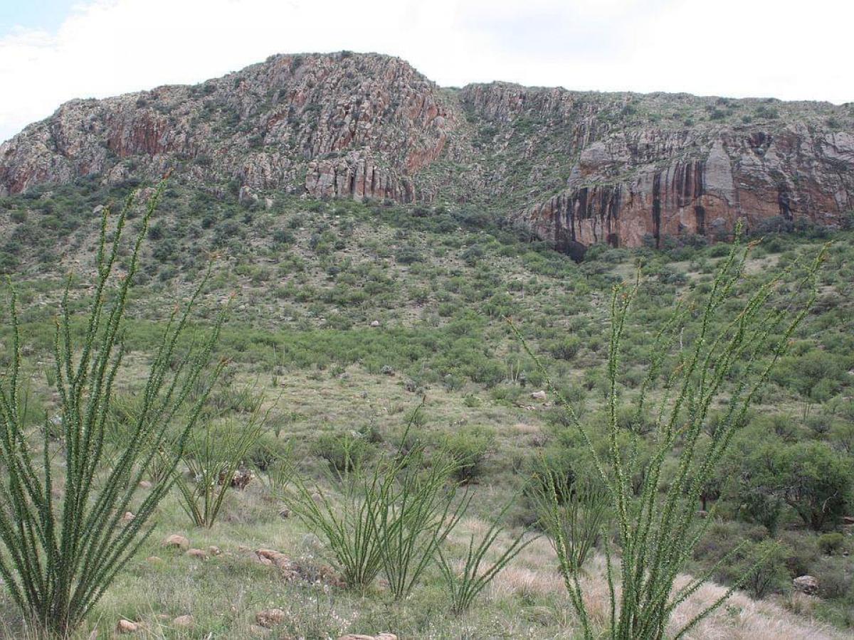 Picture of Residential Land For Sale in Tubac, Arizona, United States