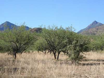 Residential Land For Sale in 