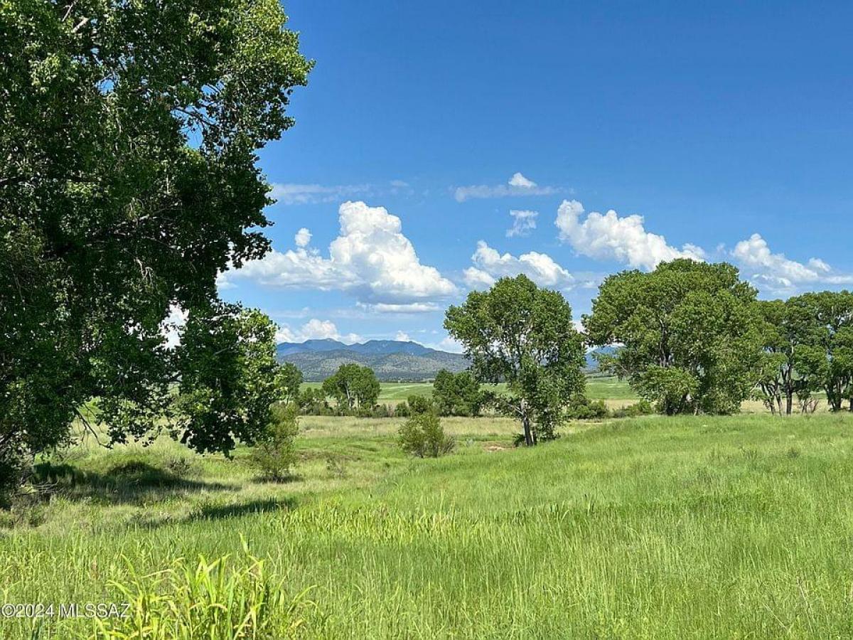 Picture of Home For Sale in Patagonia, Arizona, United States