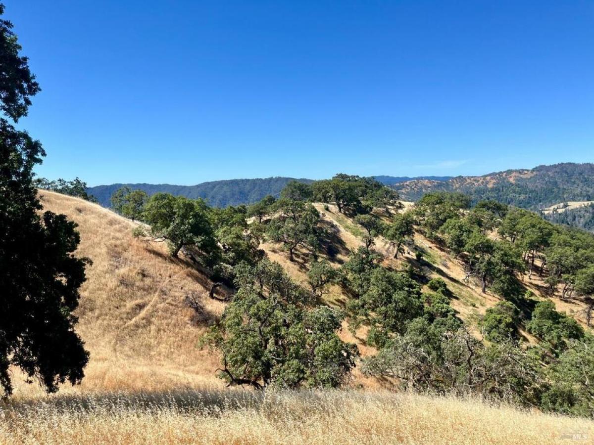 Picture of Residential Land For Sale in Healdsburg, California, United States