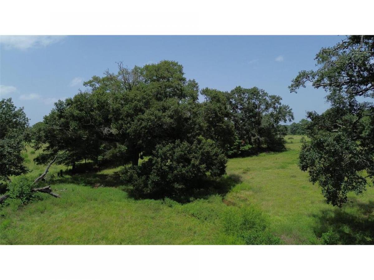 Picture of Residential Land For Sale in Montgomery, Texas, United States