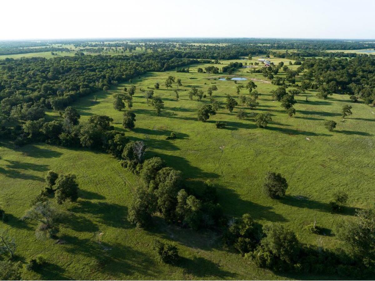 Picture of Home For Sale in Bedias, Texas, United States