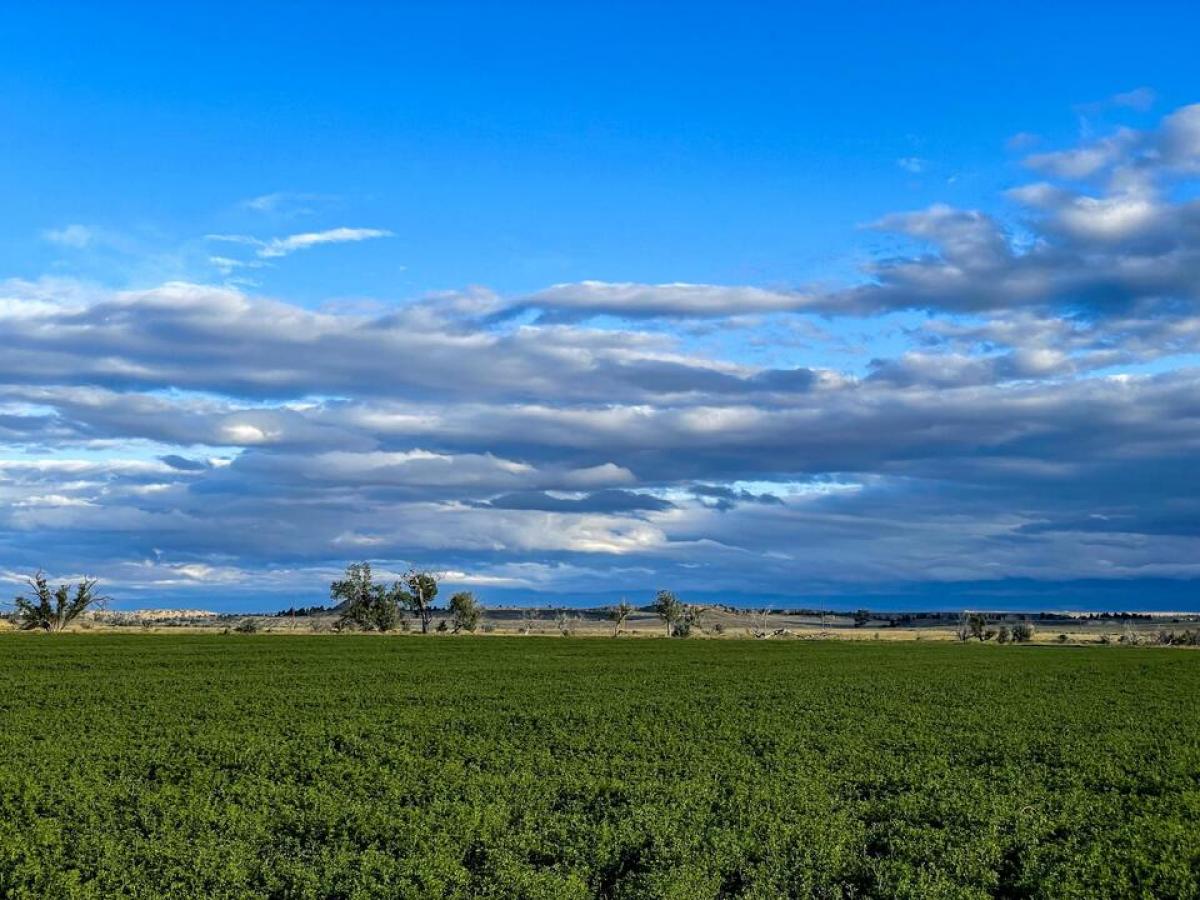 Picture of Farm For Sale in Roundup, Montana, United States