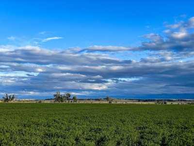 Farm For Sale in Roundup, Montana