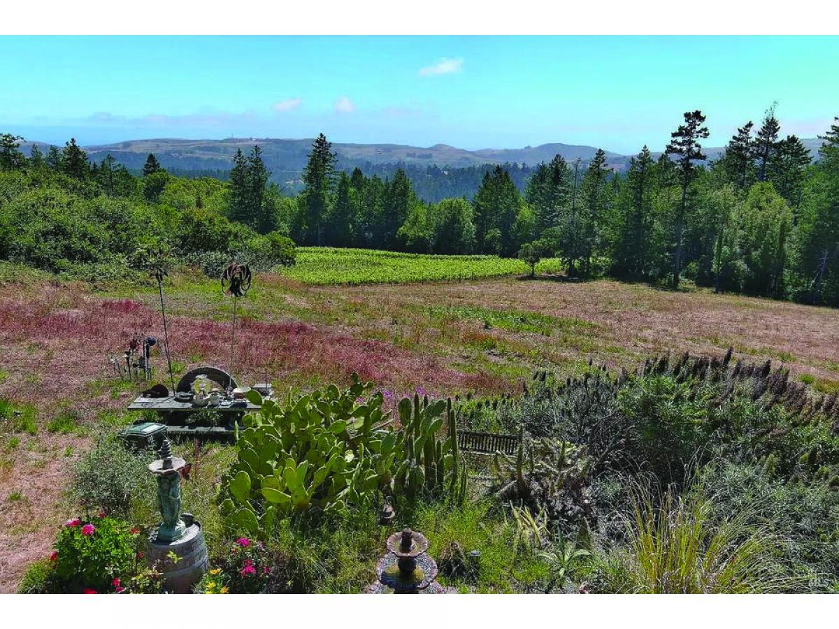 Picture of Home For Sale in Occidental, California, United States