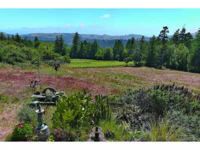 Home For Sale in Occidental, California