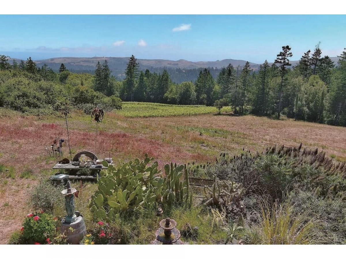 Picture of Home For Sale in Occidental, California, United States