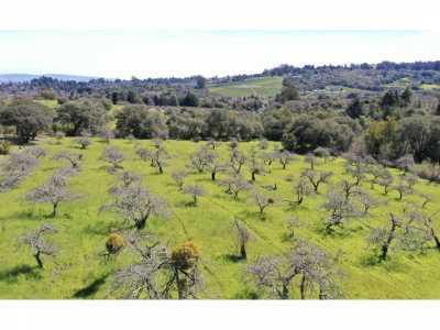 Home For Sale in Sebastopol, California