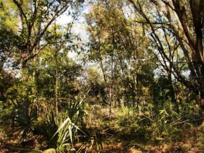 Raw Land For Sale in Williston, Florida