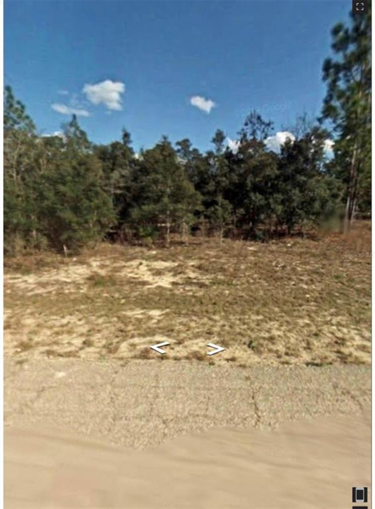 Picture of Raw Land For Sale in Citrus Springs, Florida, United States