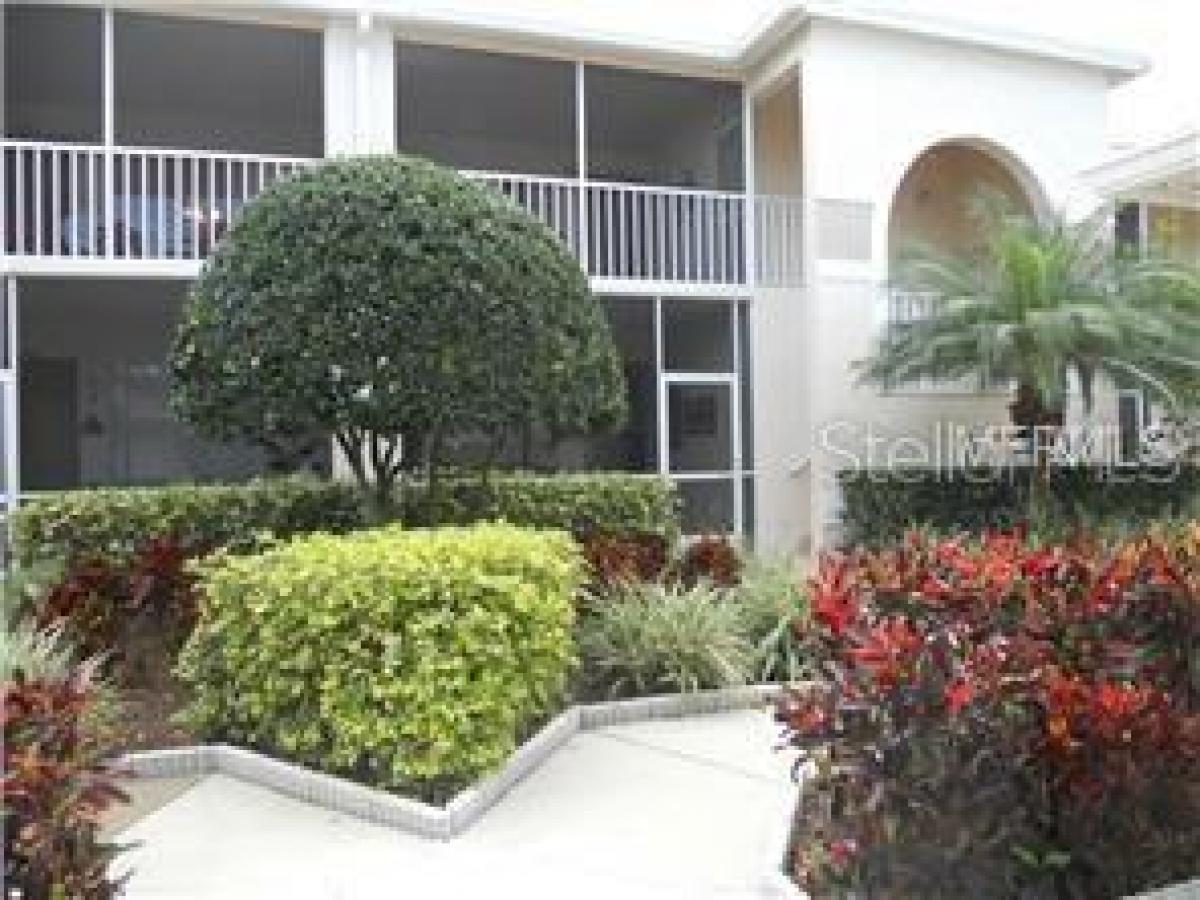 Picture of Condo For Rent in Sarasota, Florida, United States