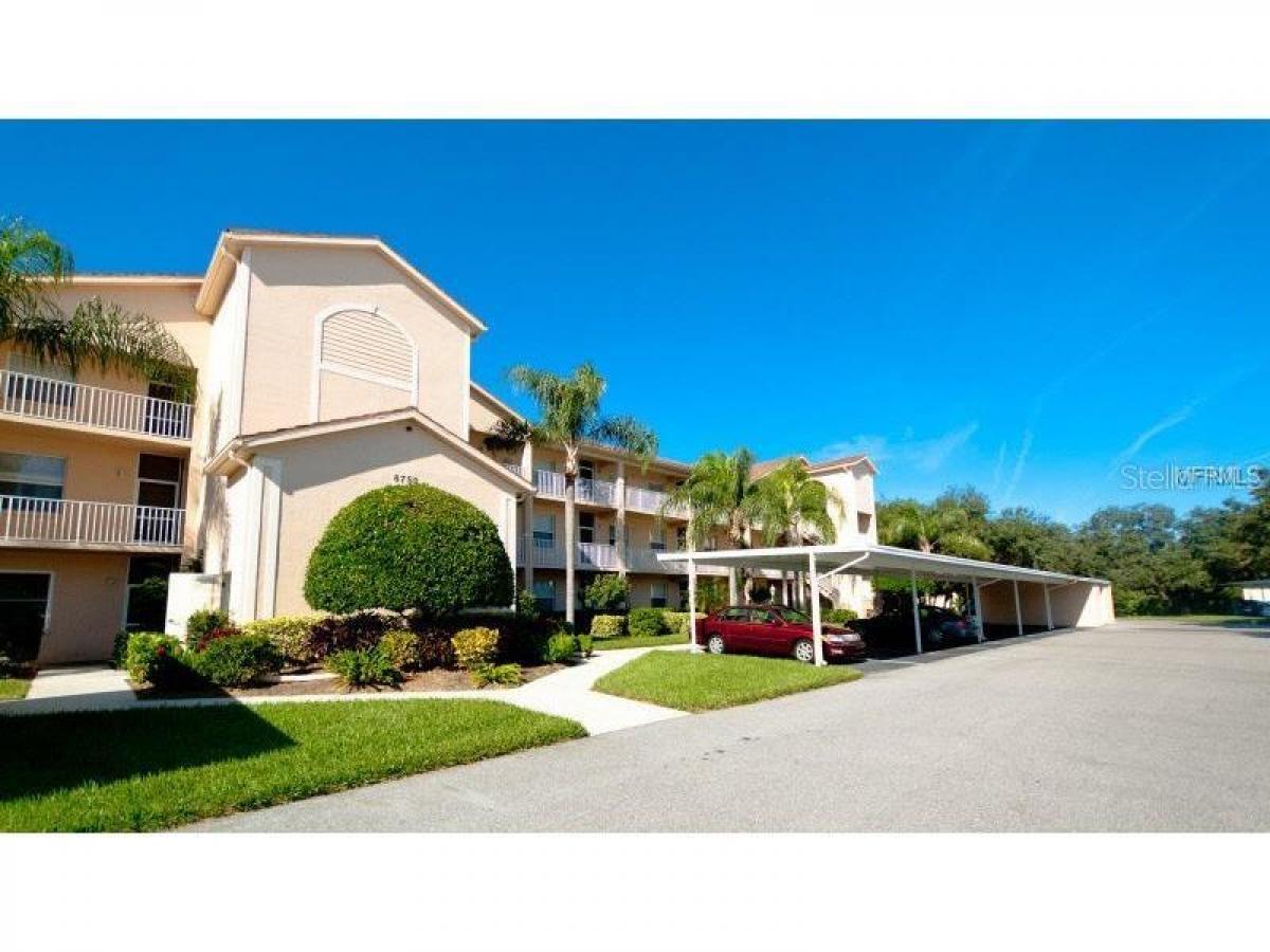 Picture of Condo For Rent in Sarasota, Florida, United States