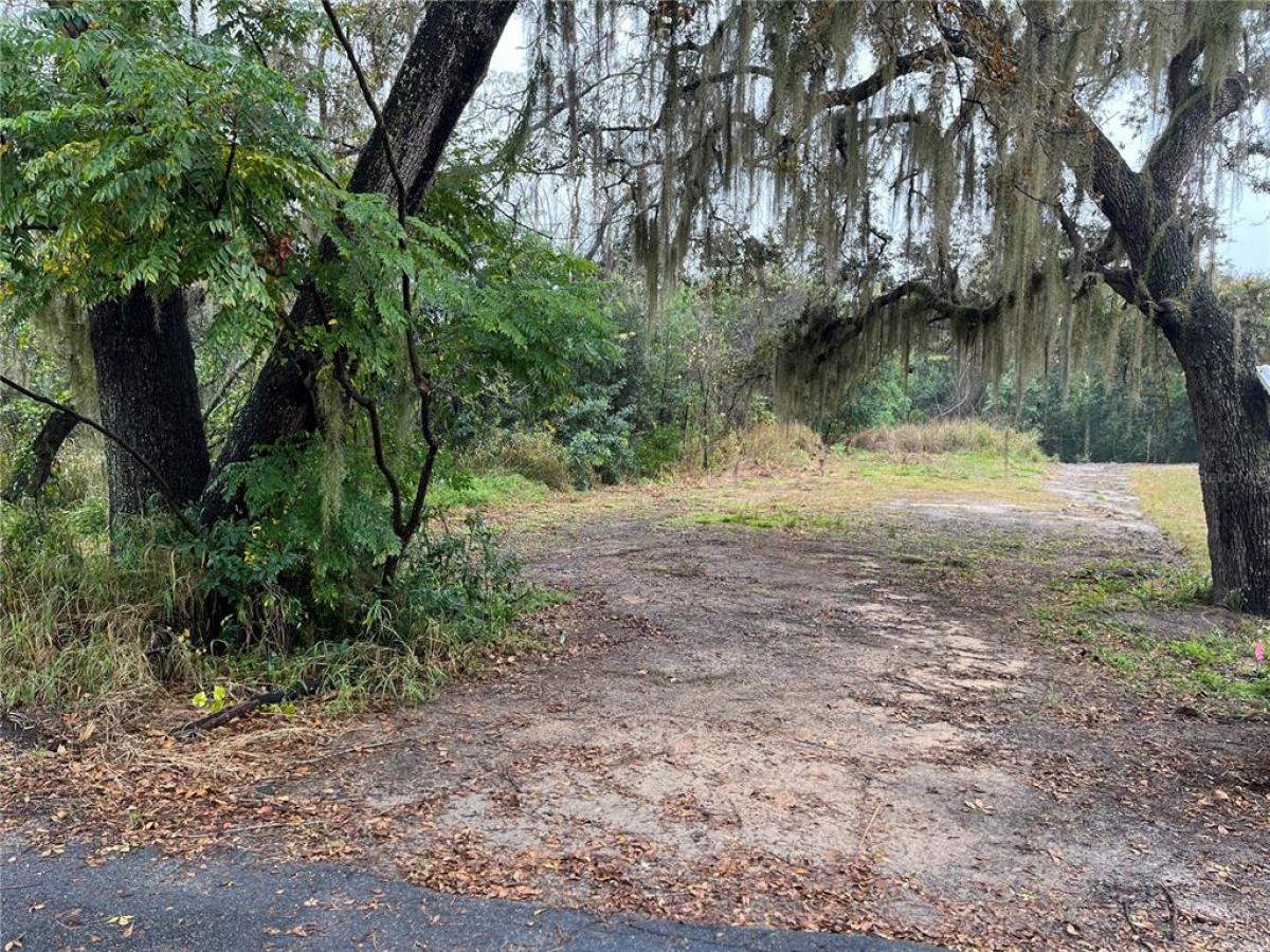 Picture of Raw Land For Sale in Mount Dora, Florida, United States