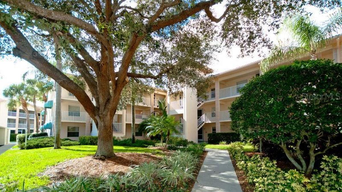 Picture of Condo For Rent in Sarasota, Florida, United States