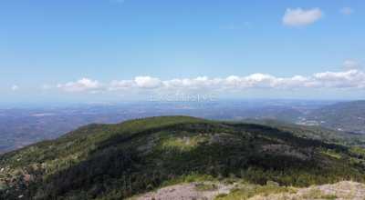 Home For Sale in Monchique, Portugal