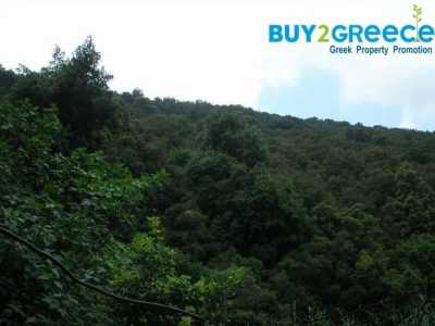 Residential Land For Sale in 