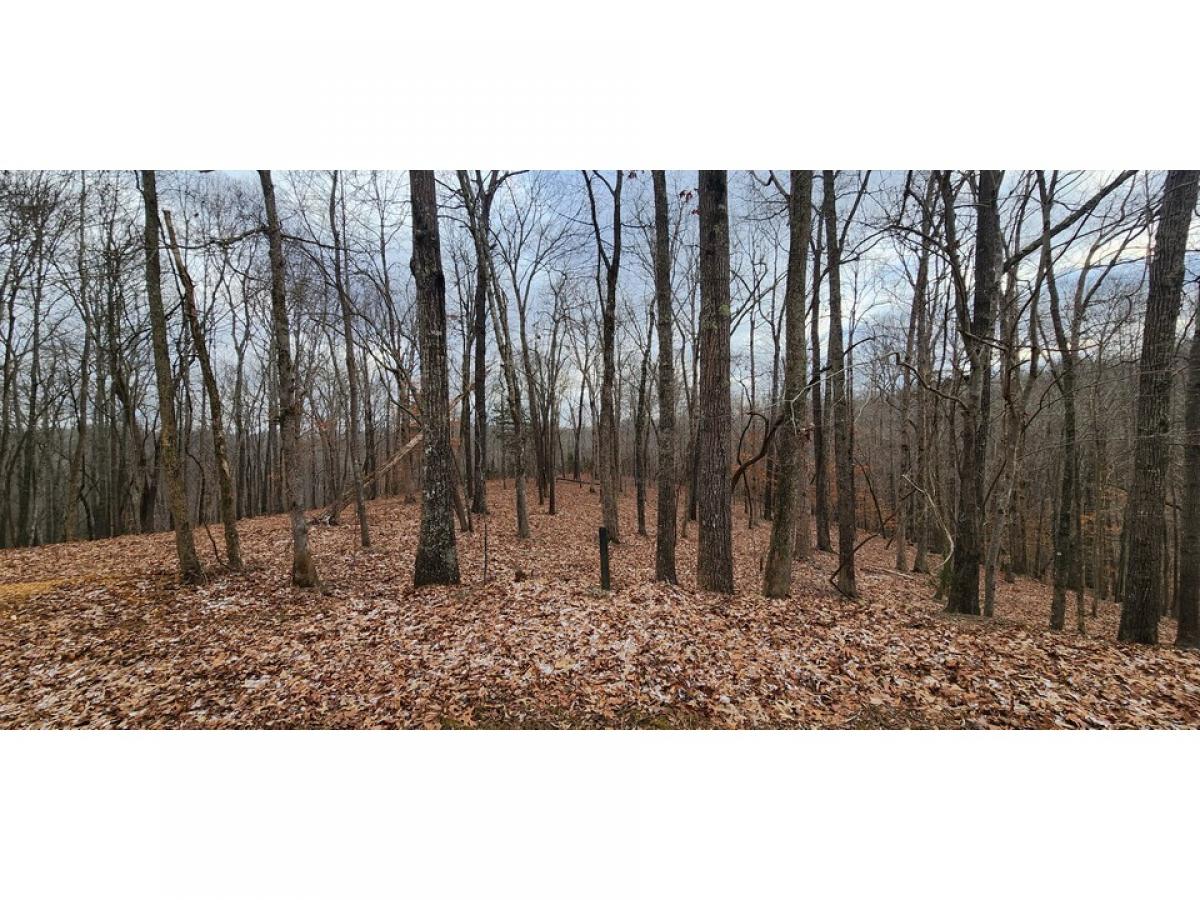 Picture of Residential Land For Sale in Sparta, Tennessee, United States