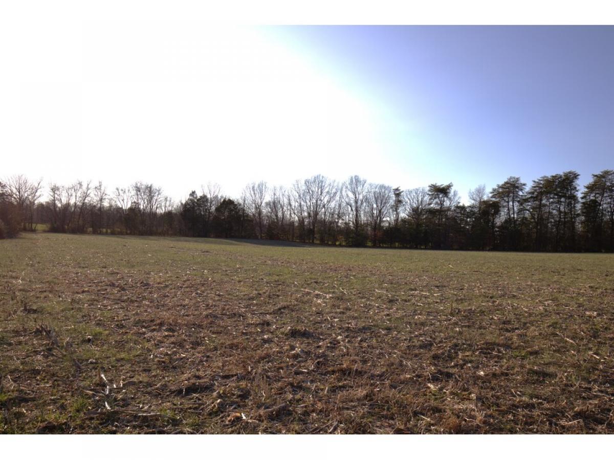 Picture of Residential Land For Sale in Cookeville, Tennessee, United States