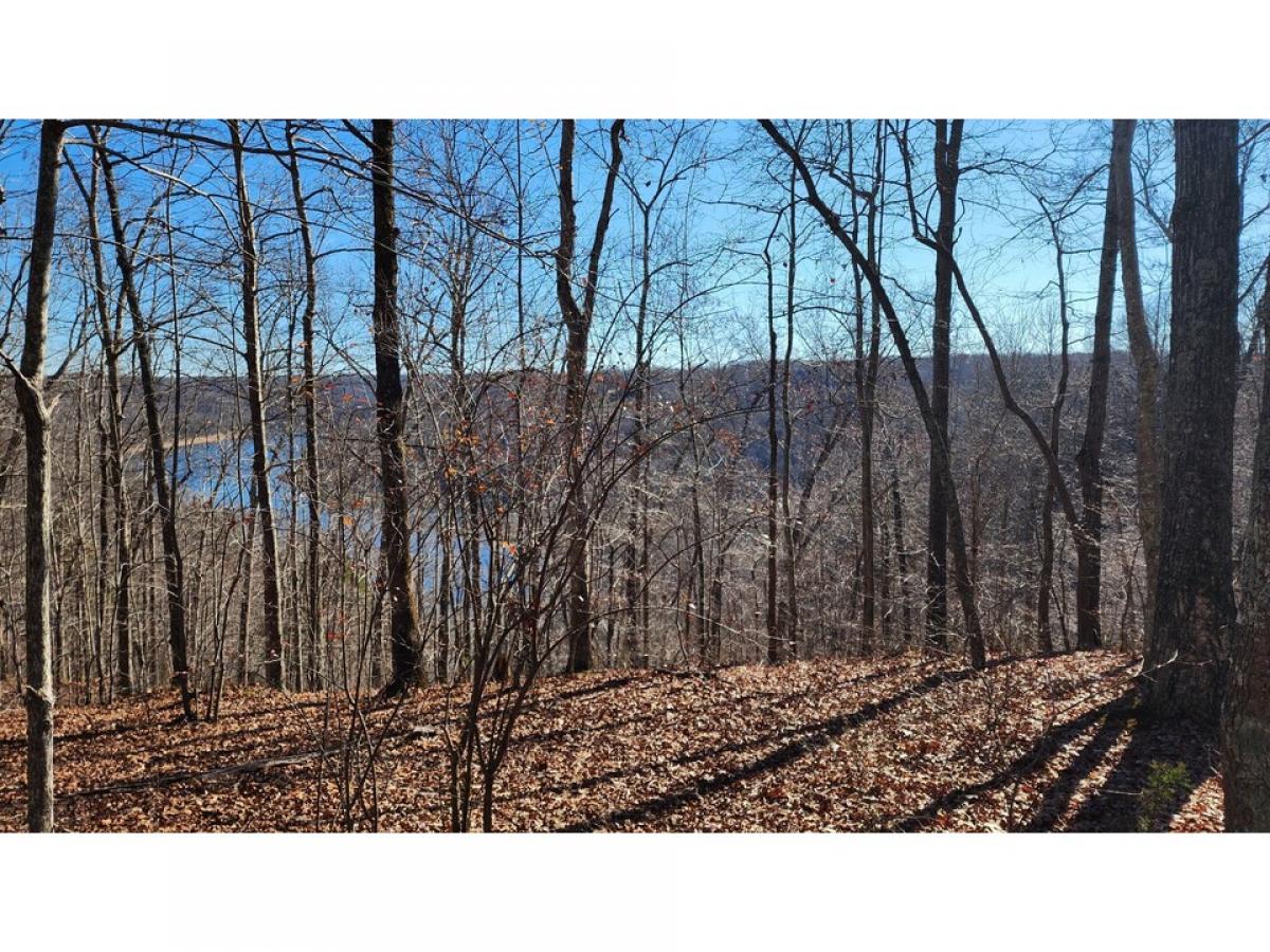 Picture of Residential Land For Sale in Smithville, Tennessee, United States