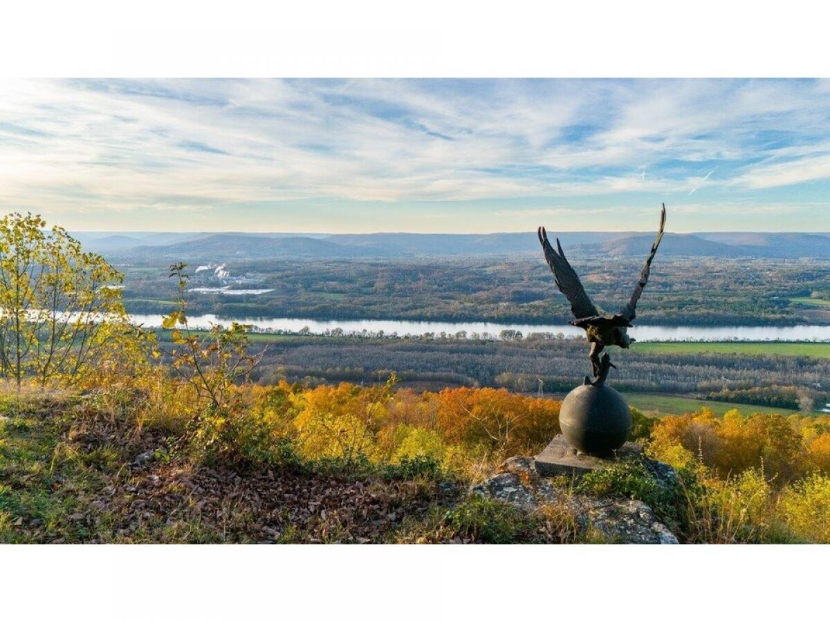 Picture of Residential Land For Sale in Flat Rock, Alabama, United States