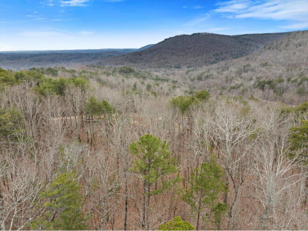 Picture of Farm For Sale in Sale Creek, Tennessee, United States