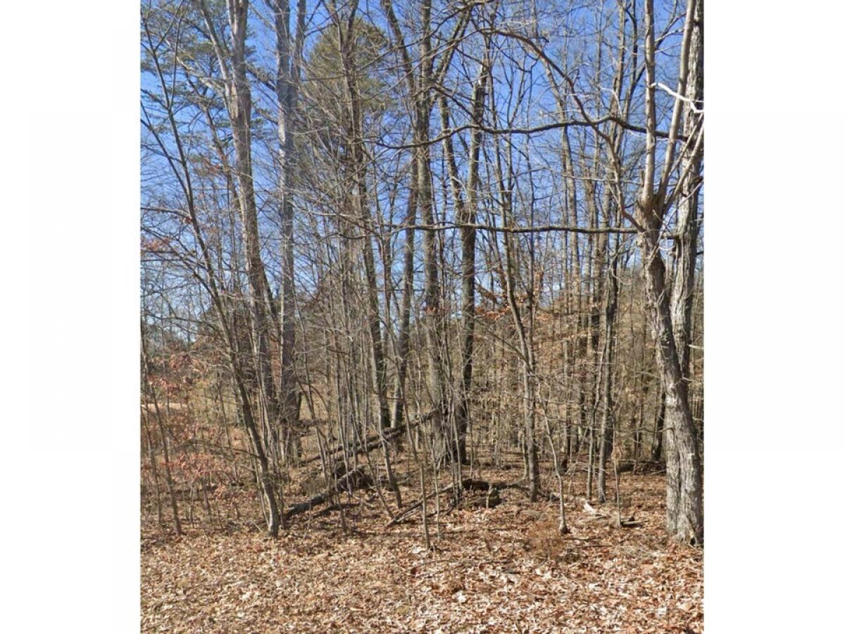 Picture of Residential Land For Sale in Rogersville, Tennessee, United States