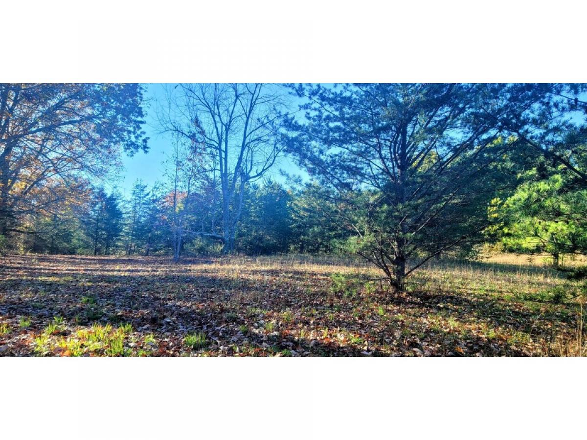 Picture of Residential Land For Sale in Spencer, Tennessee, United States