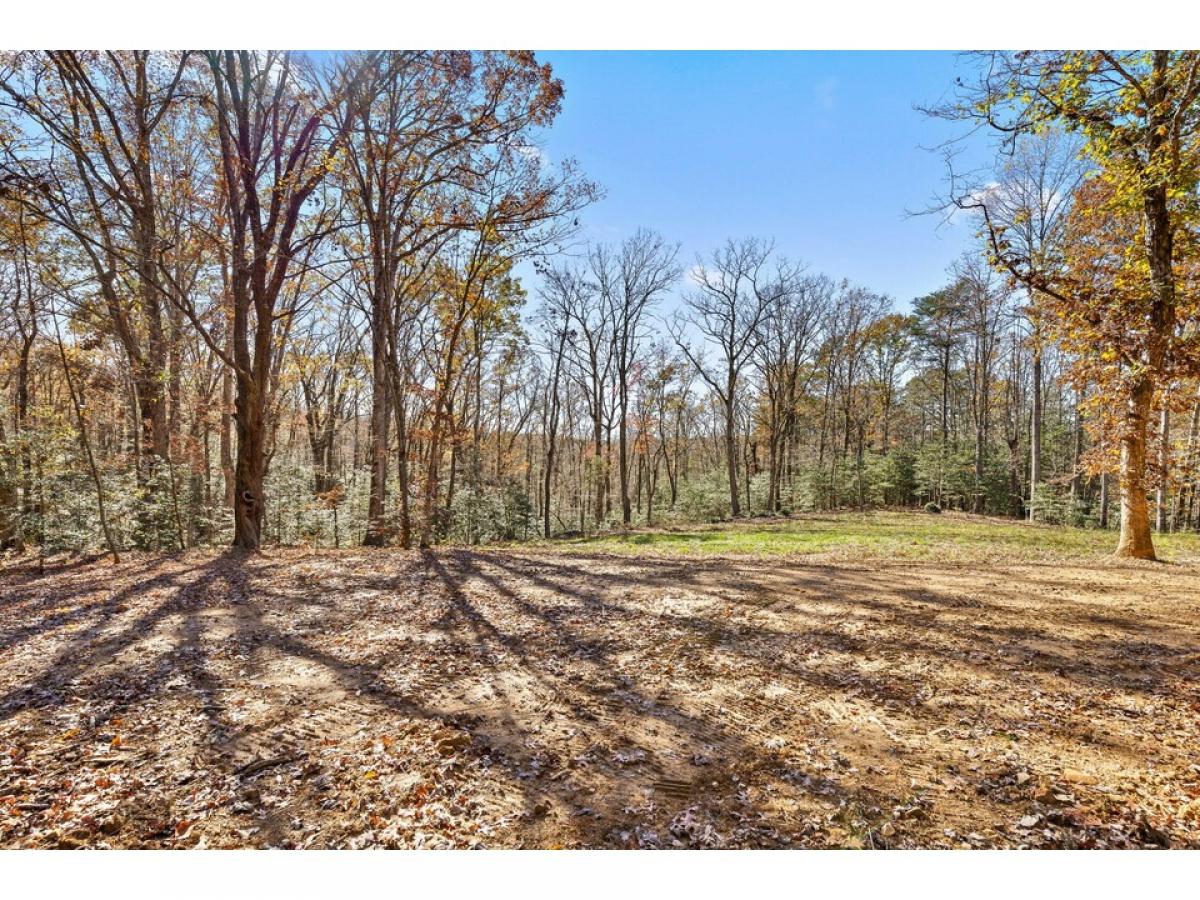 Picture of Residential Land For Sale in Signal Mountain, Tennessee, United States