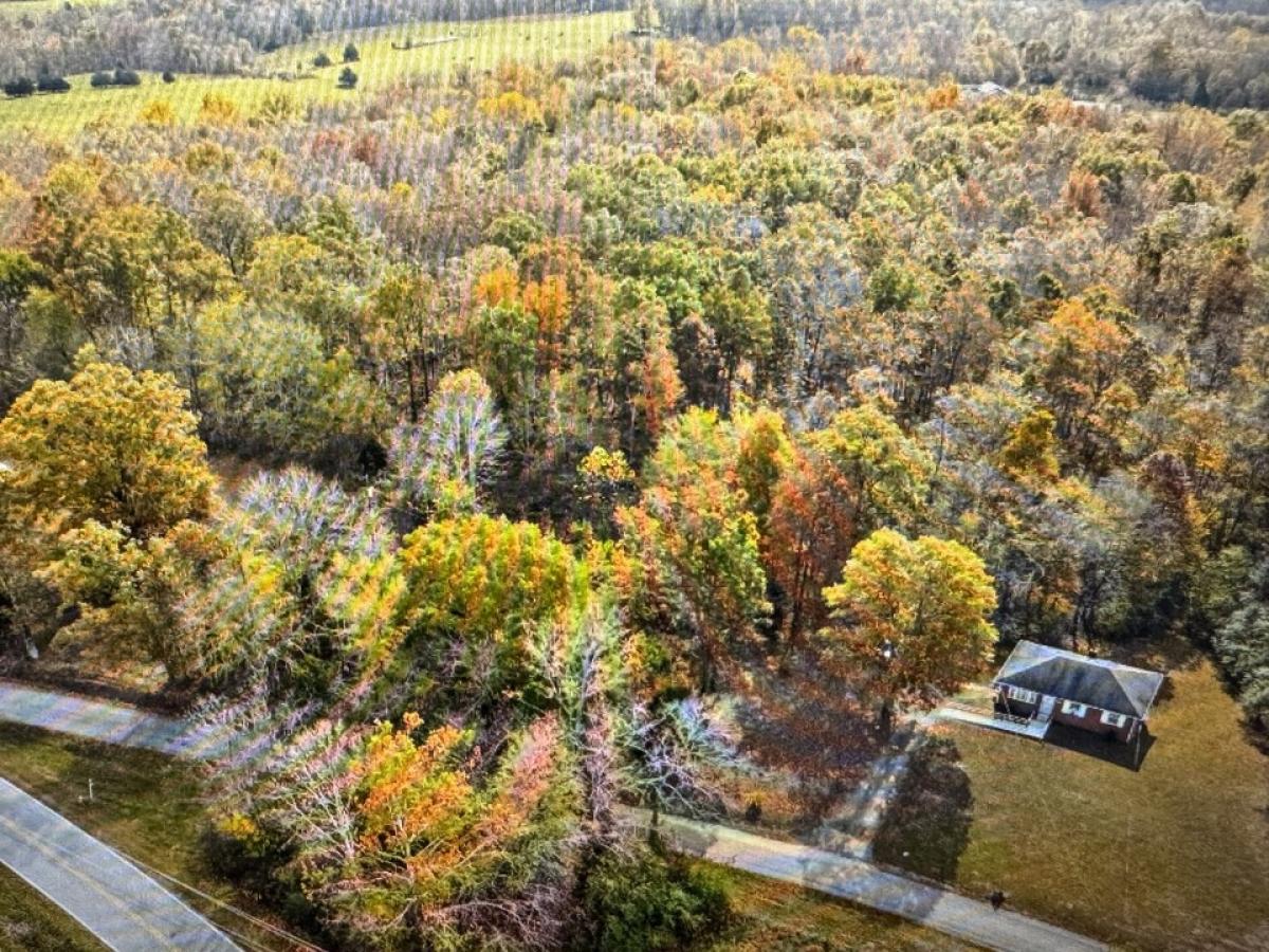 Picture of Residential Land For Sale in Southside, Tennessee, United States