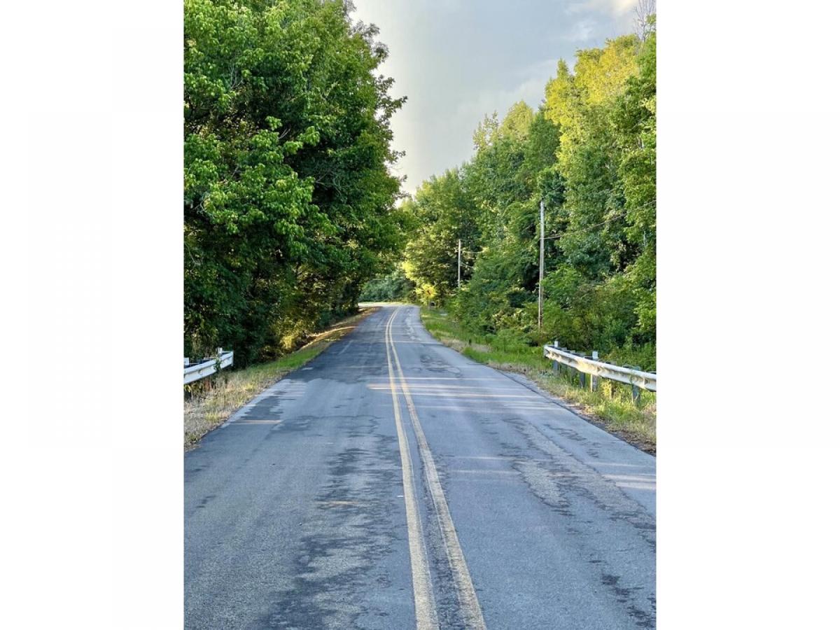 Picture of Residential Land For Sale in Rocky Face, Georgia, United States