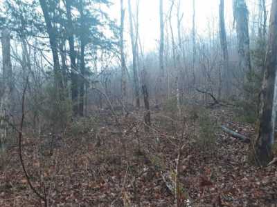 Residential Land For Sale in Jamestown, Tennessee