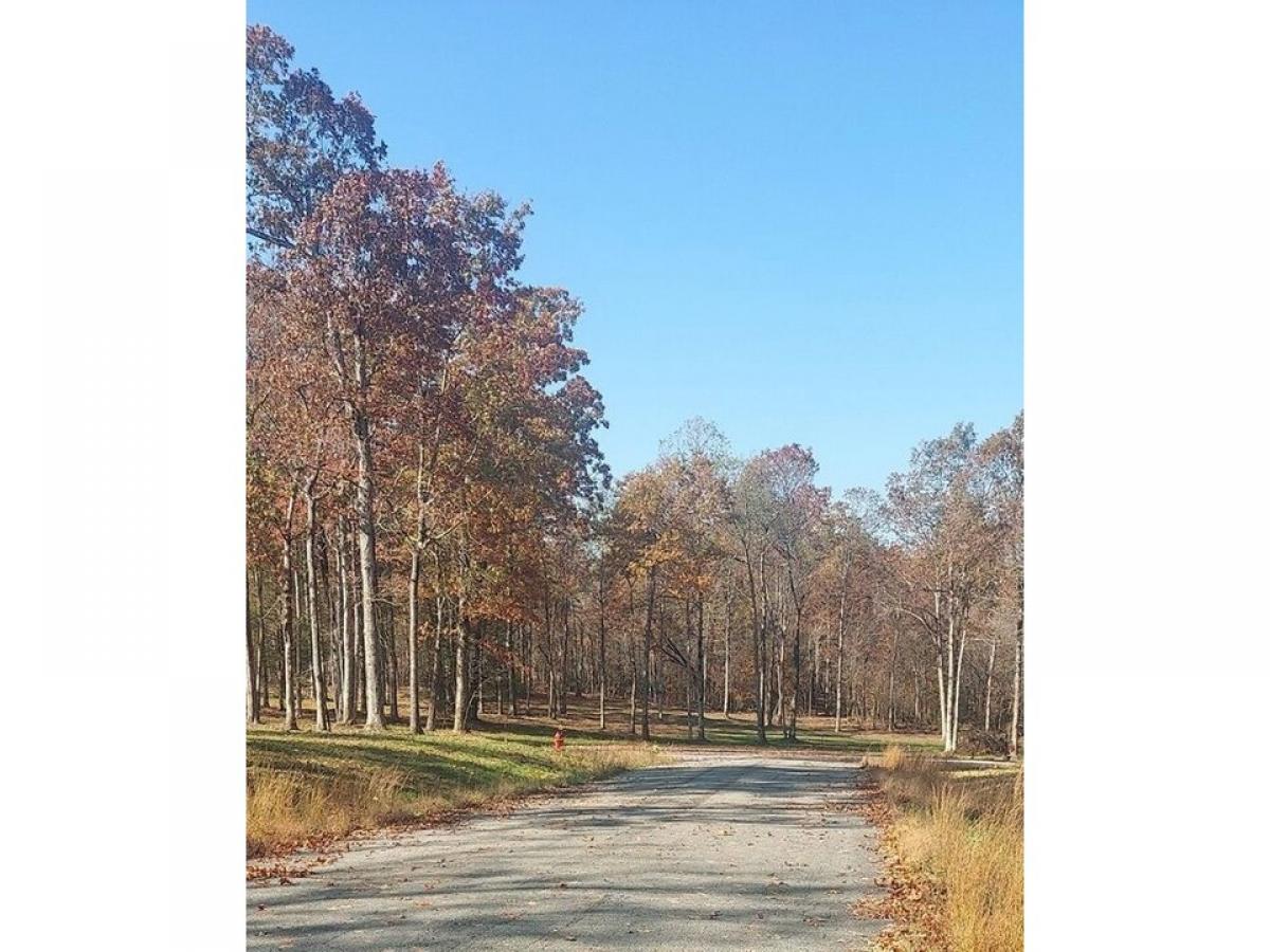 Picture of Residential Land For Sale in Monterey, Tennessee, United States