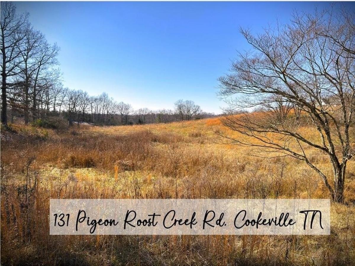 Picture of Residential Land For Sale in Cookeville, Tennessee, United States