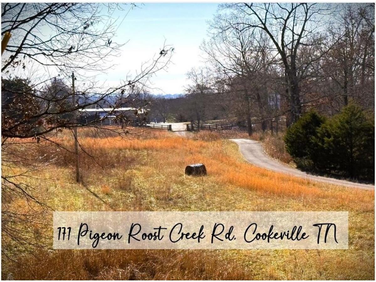 Picture of Residential Land For Sale in Cookeville, Tennessee, United States