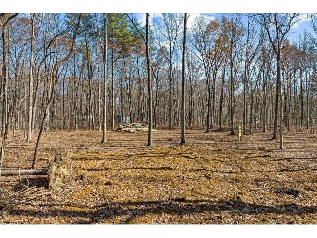 Picture of Residential Land For Sale in Crossville, Tennessee, United States