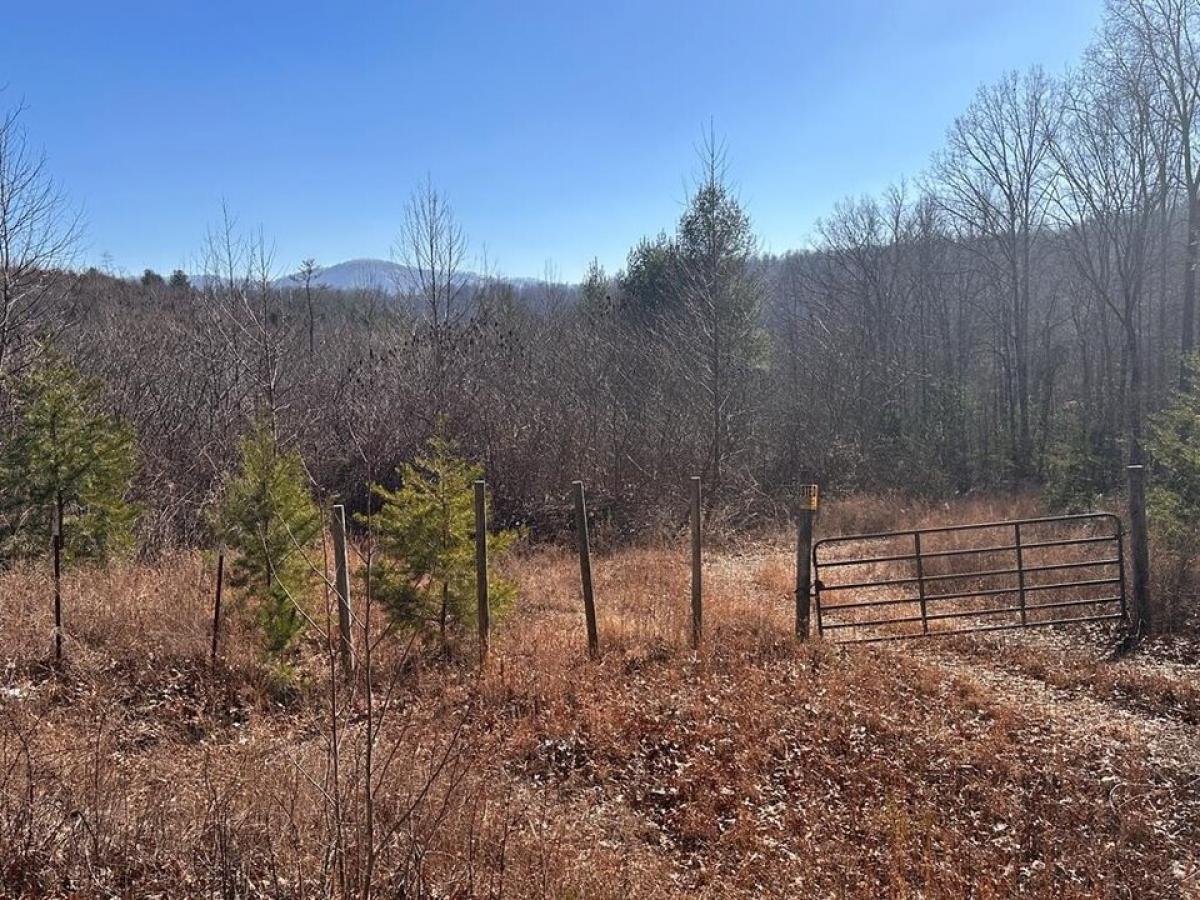 Picture of Residential Land For Sale in Sunbright, Tennessee, United States