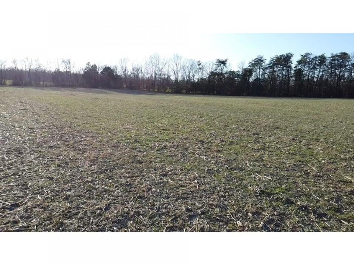 Picture of Residential Land For Sale in Cookeville, Tennessee, United States