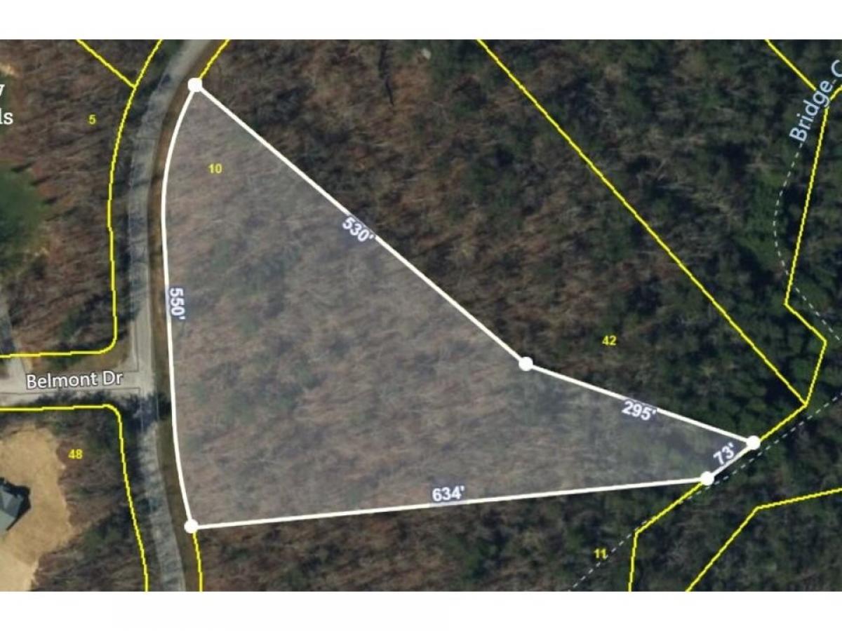 Picture of Residential Land For Sale in Monterey, Tennessee, United States