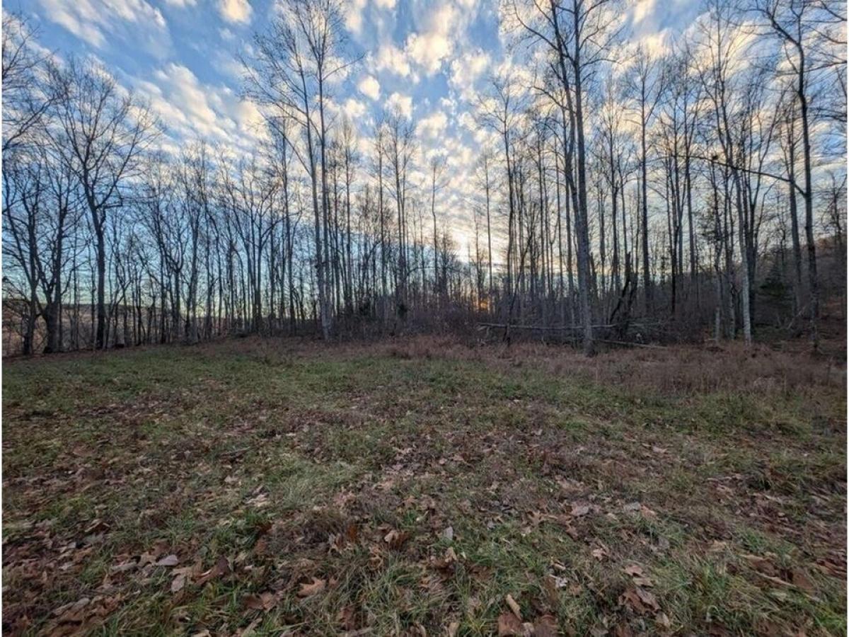 Picture of Residential Land For Sale in Jamestown, Tennessee, United States