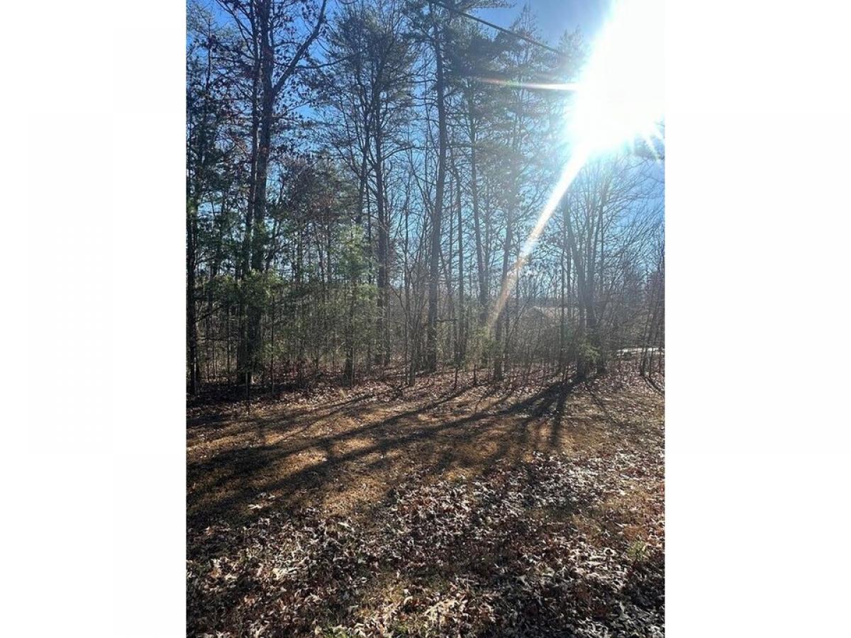 Picture of Residential Land For Sale in Sparta, Tennessee, United States