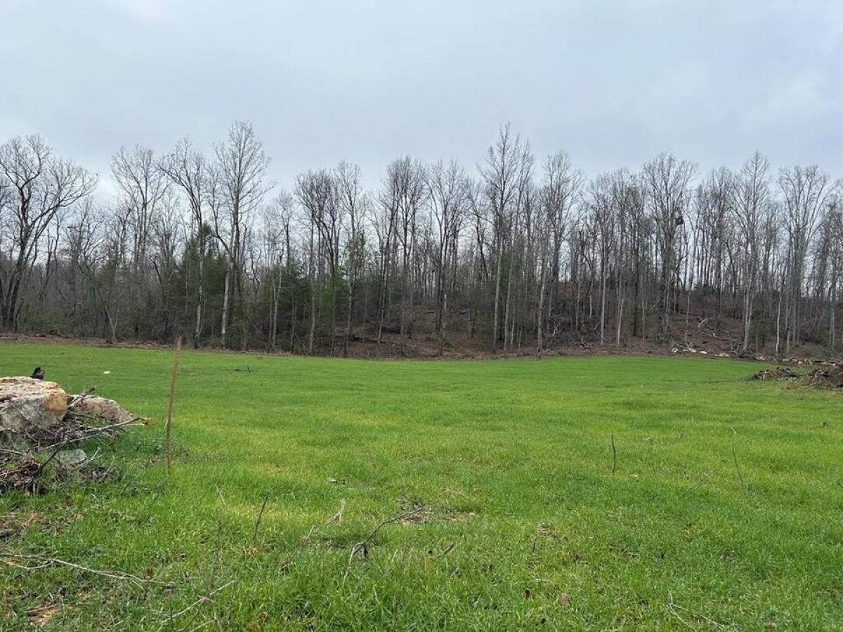 Picture of Residential Land For Sale in Monterey, Tennessee, United States