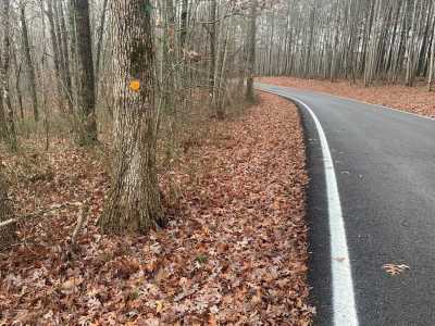 Residential Land For Sale in Spencer, Tennessee