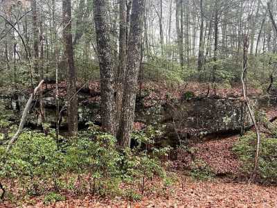 Residential Land For Sale in Monterey, Tennessee