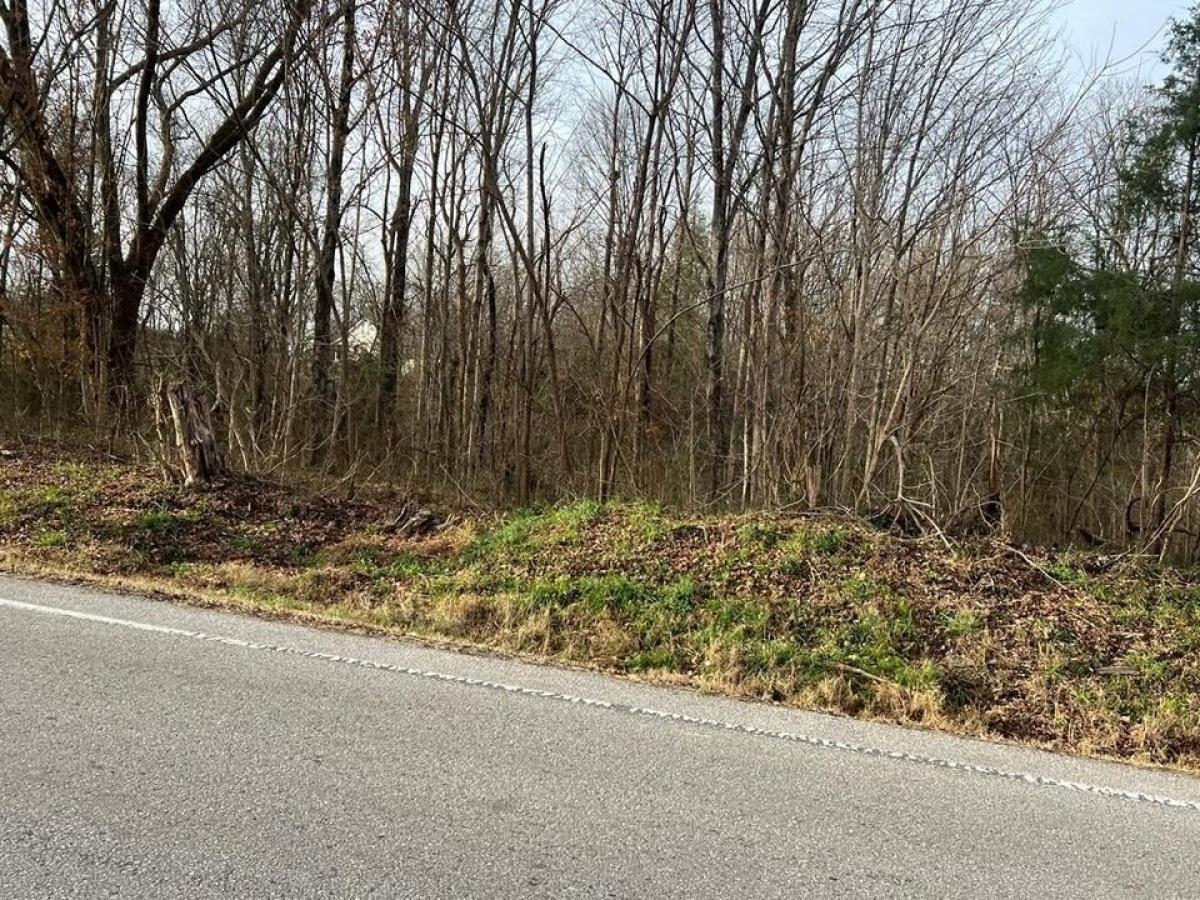 Picture of Residential Land For Sale in Byrdstown, Tennessee, United States