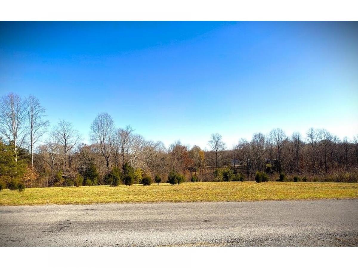 Picture of Residential Land For Sale in Hilham, Tennessee, United States