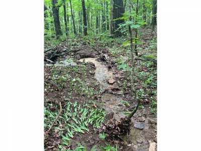 Residential Land For Sale in Jamestown, Tennessee