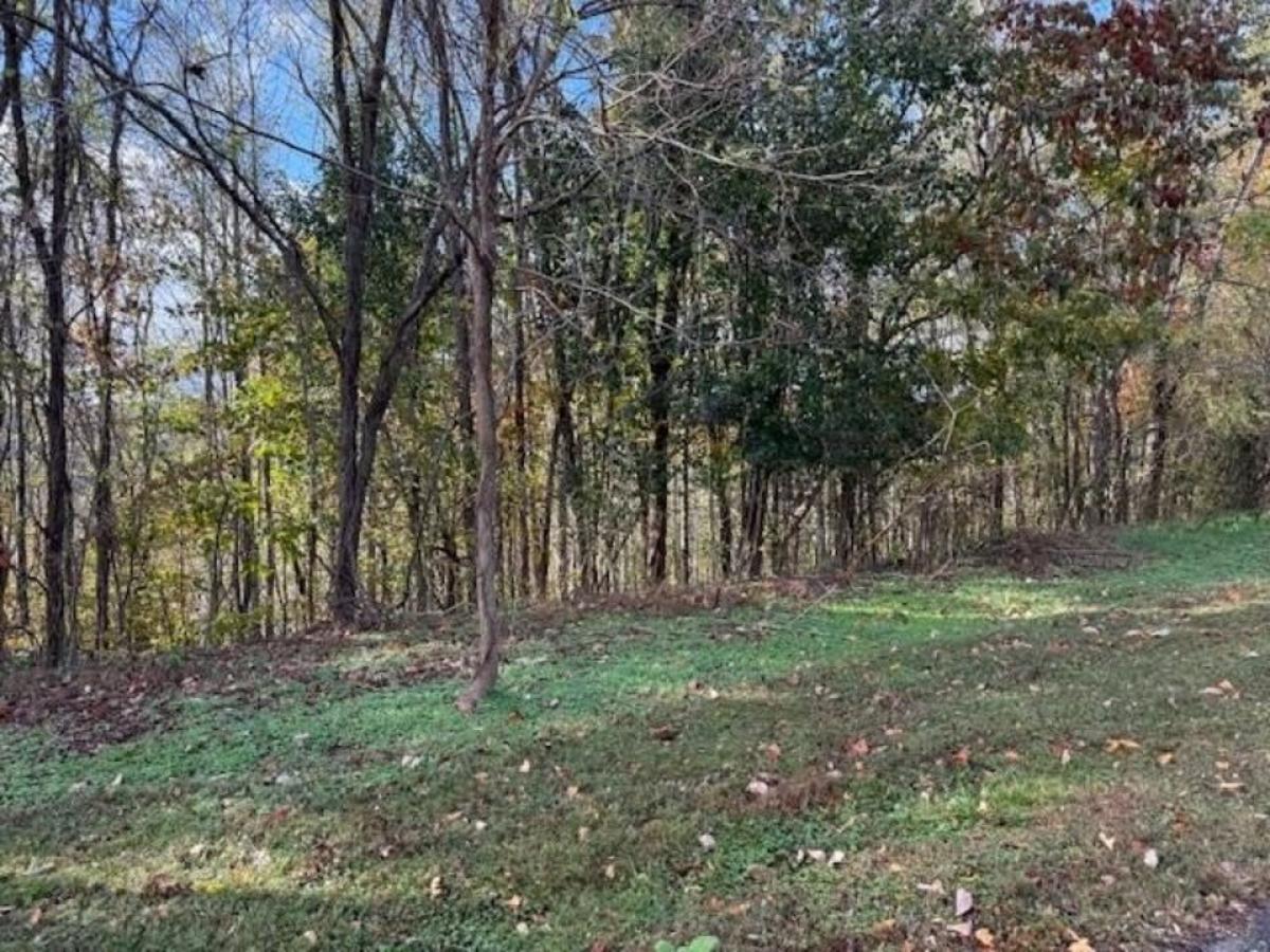 Picture of Residential Land For Sale in Smithville, Tennessee, United States